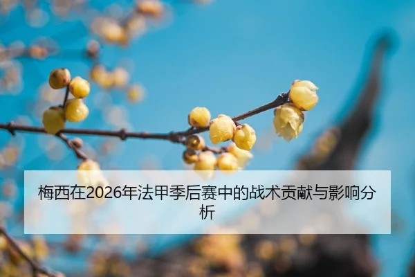 mei-xi-zai-nian-fa-jia-ji-hou-sai-zhong-de-zhan-shu-gong-xian-yu-ying-xiang-fen-xi-2-170.jpg
