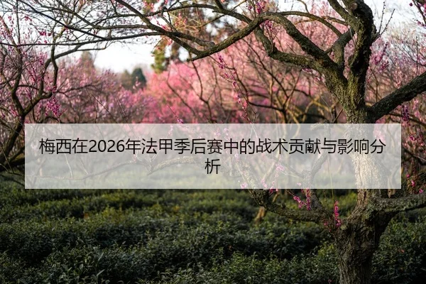 梅西在2026年法甲季后赛中的战术贡献与影响分析