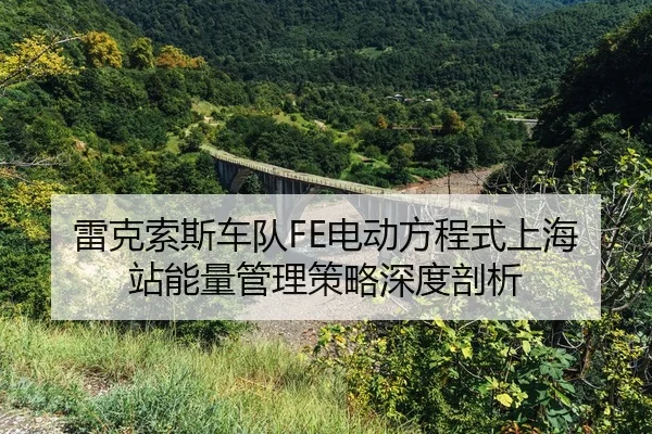 lei-ke-suo-si-che-dui-dian-dong-fang-cheng-shi-shang-hai-zhan-neng-liang-guan-li-ce-lve-shen-du-pou-xi-2-834.jpg