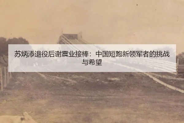 苏炳添退役后谢震业接棒：中国短跑新领军者的挑战与希望