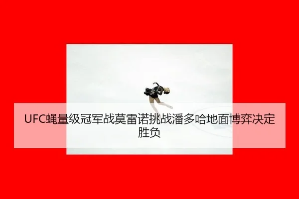 ying-liang-ji-guan-jun-zhan-mo-lei-nuo-tiao-zhan-pan-duo-ha-di-mian-bo-yi-jue-ding-sheng-fu-2-582.jpg