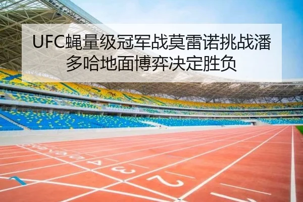 ying-liang-ji-guan-jun-zhan-mo-lei-nuo-tiao-zhan-pan-duo-ha-di-mian-bo-yi-jue-ding-sheng-fu-3-571.jpg