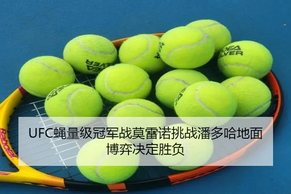 UFC蝇量级冠军战莫雷诺挑战潘多哈地面博弈决定胜负